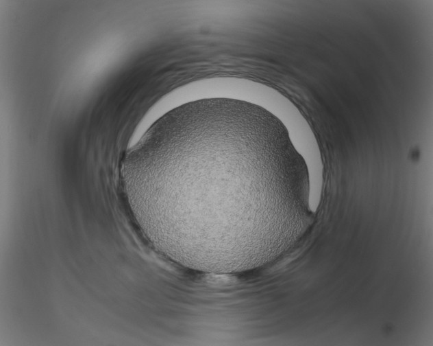 X0000116120429200912211658