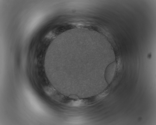 X0000116120430200912211658