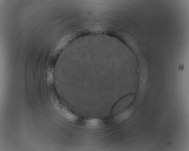 X0000116120432200912211658