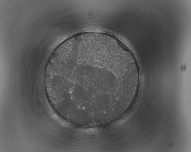 X0000116120433200912211657