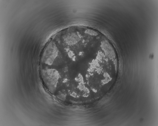 X0000116120434200912211657