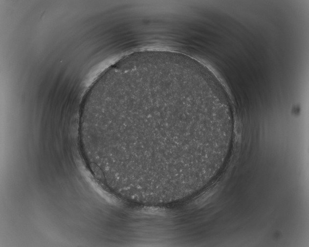 X0000116120437200912211657