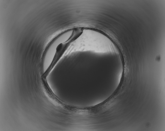 X0000116120438200912211657