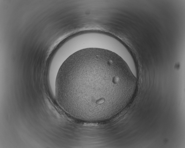 X0000116120440200912211657