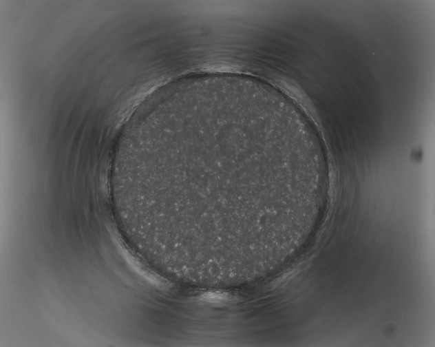 X0000116120441200912211657