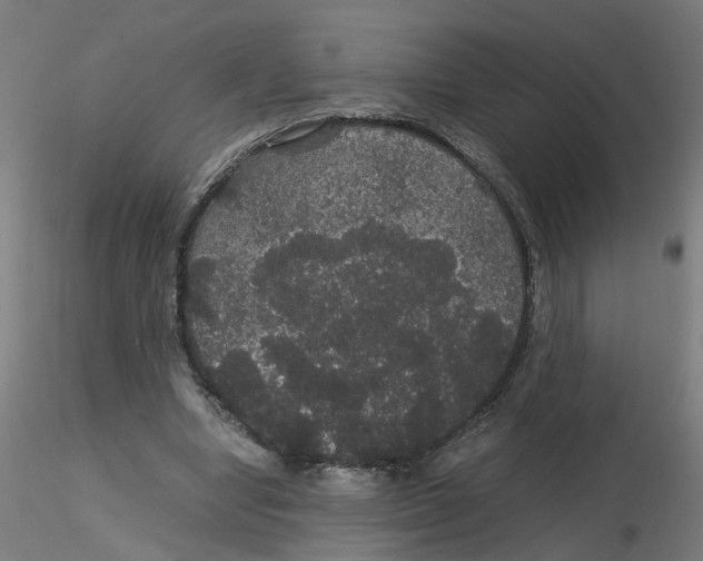 X0000116120442200912211657