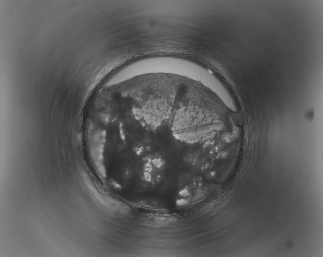 X0000116120443200912211657
