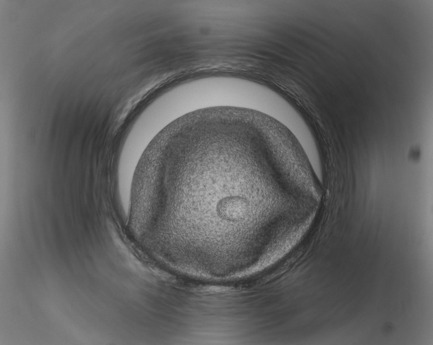 X0000116120444200912211657