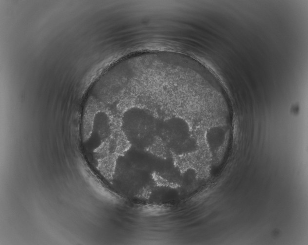 X0000116120445200912211657