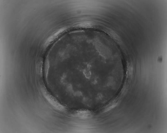 X0000116120446200912211657