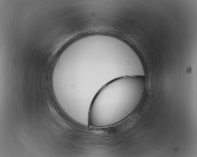 X0000116120448200912211657