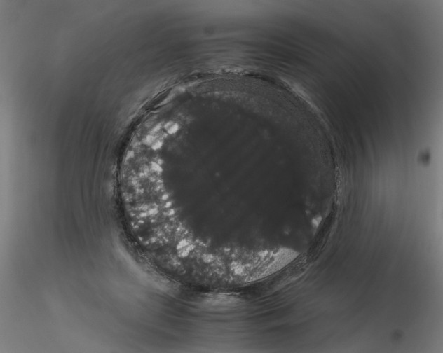 X0000116120451200912211657