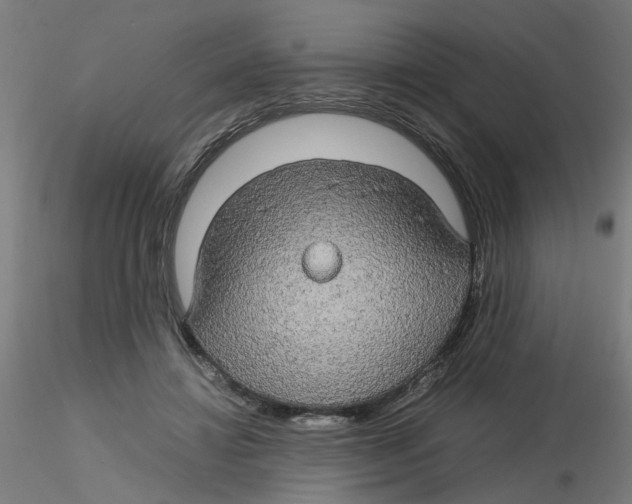 X0000116120452200912211657