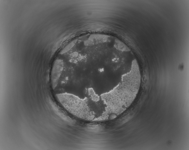 X0000116120454200912211657
