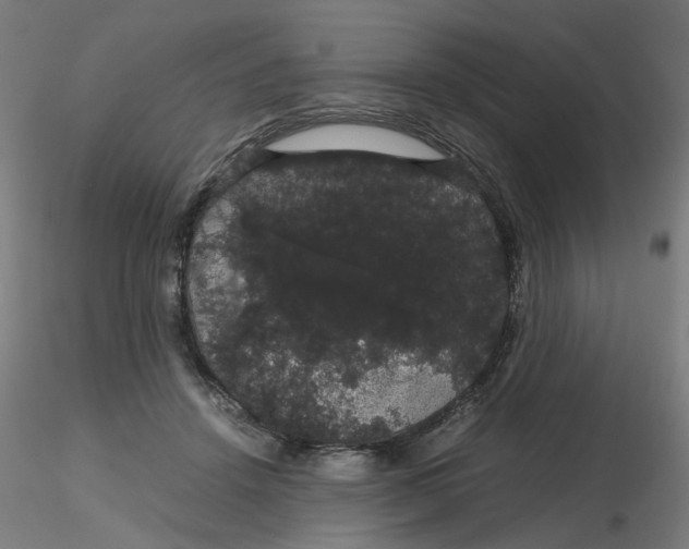 X0000116120456200912211657