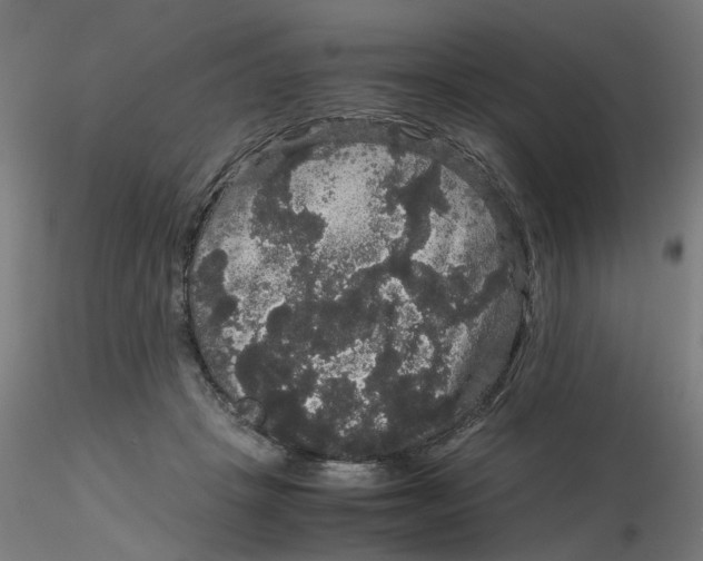 X0000116120457200912211657