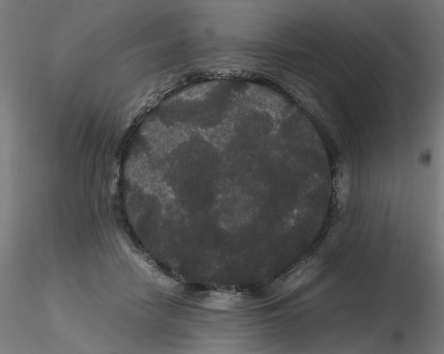 X0000116120458200912211657