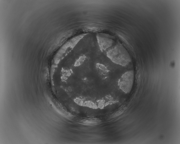 X0000116120459200912211657