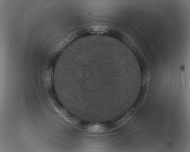 X0000116120460200912211657