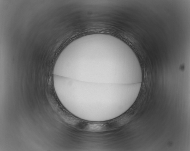 X0000116120461200912211657