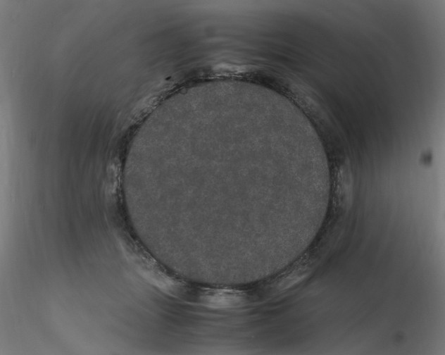 X0000116120463200912211657