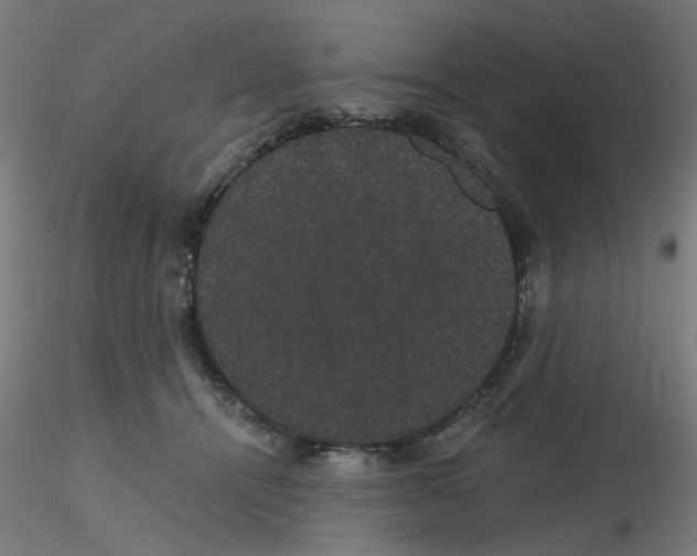 X0000116120464200912211657