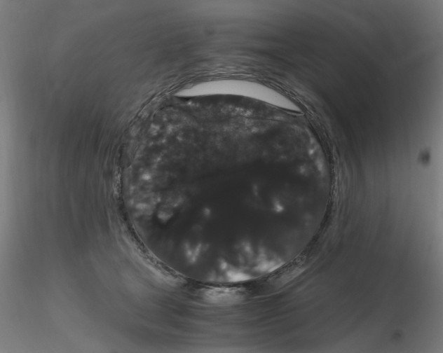 X0000116120465200912211657