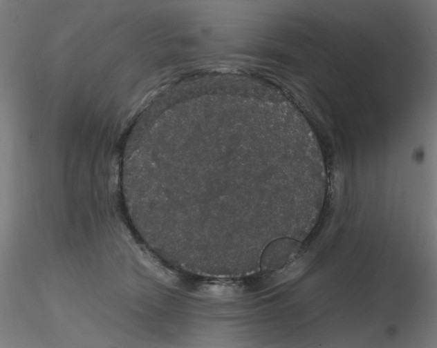 X0000116120466200912211657