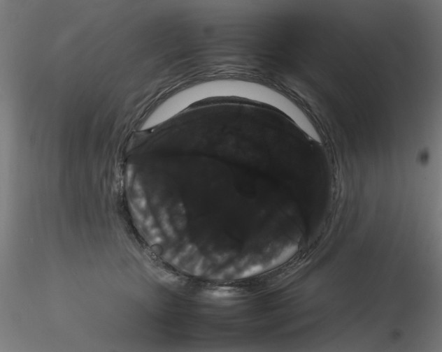 X0000116120467200912211657