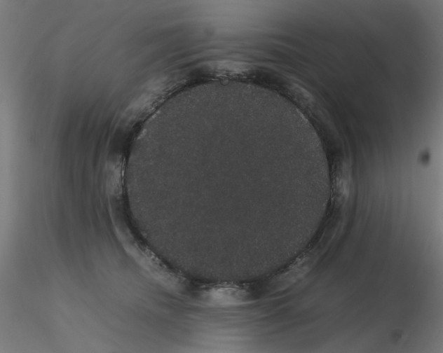 X0000116120468200912211657