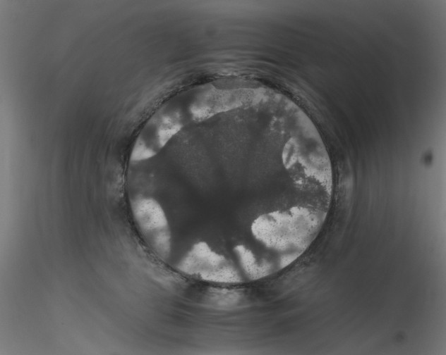 X0000116120469200912211657