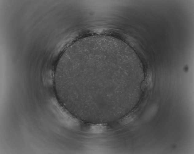 X0000116120470200912211657