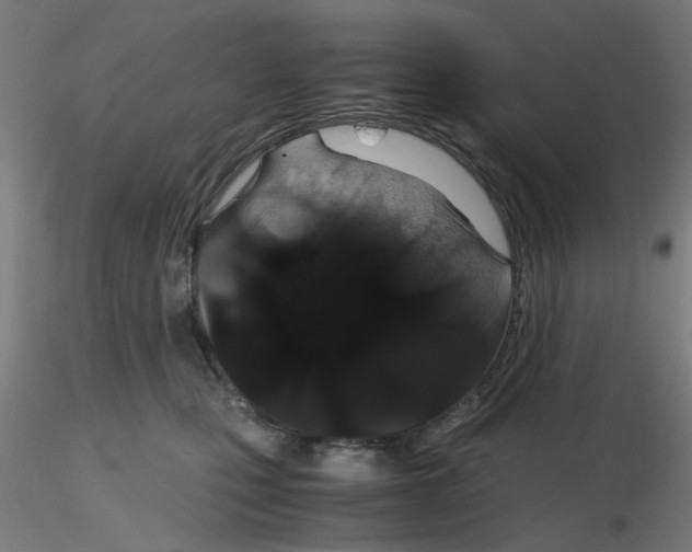 X0000116120471200912211657