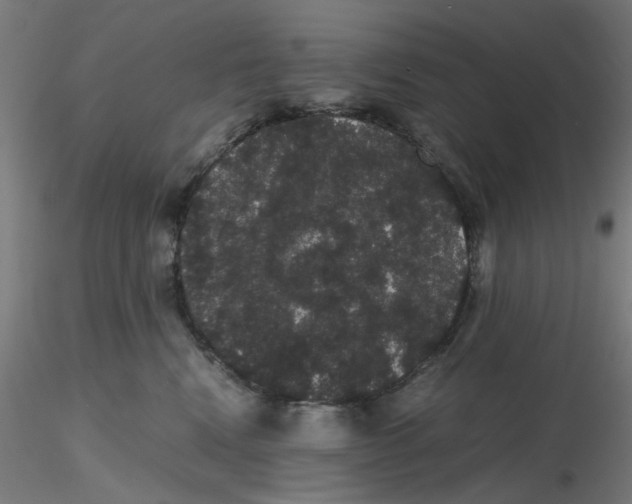 X0000116120472200912211657