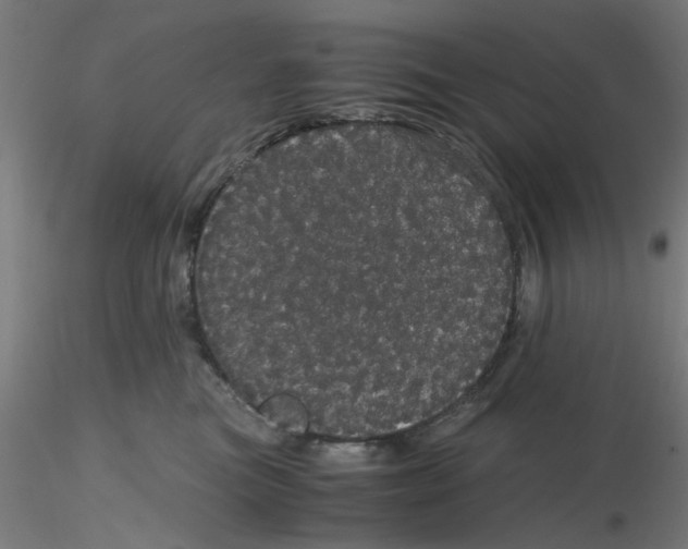 X0000116120473200912211657