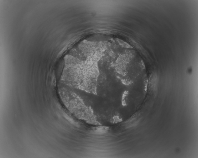 X0000116120474200912211658