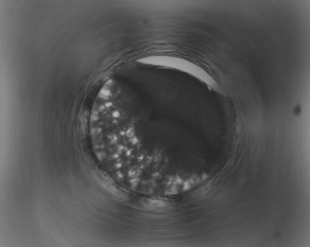 X0000116120475200912211658