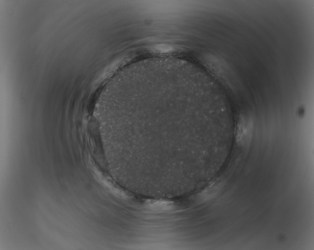 X0000116120476200912211658