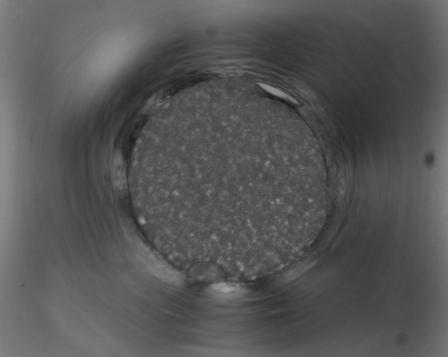 X0000116120477200912211658