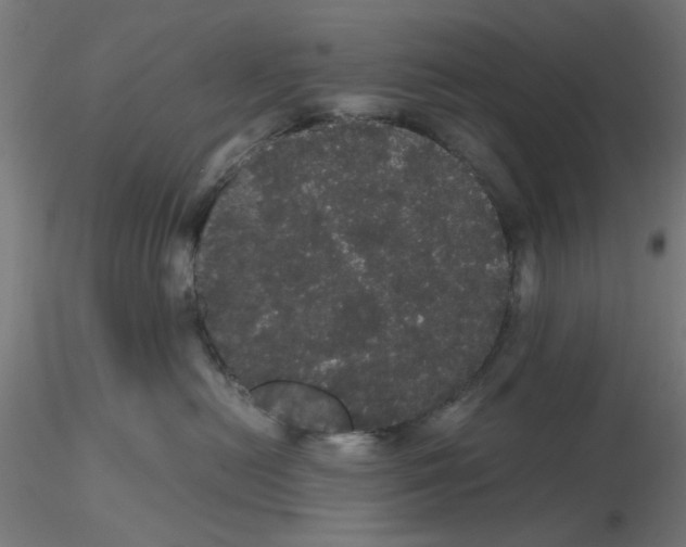 X0000116120478200912211658