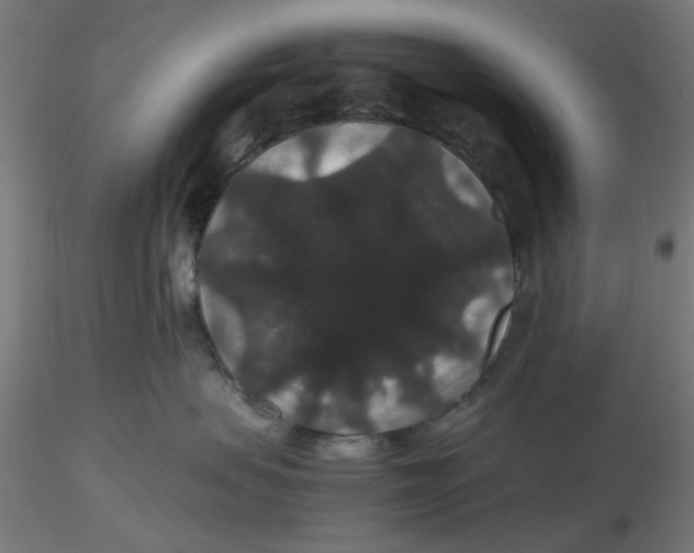 X0000116120479200912211658