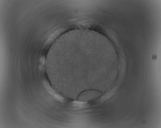 X0000116120480200912211658
