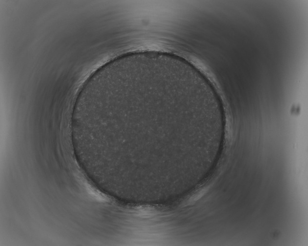 X0000116120481200912211657