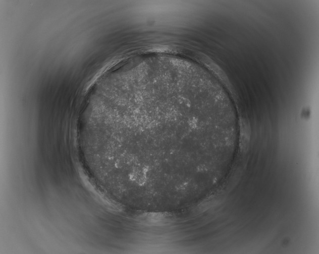 X0000116120482200912211657