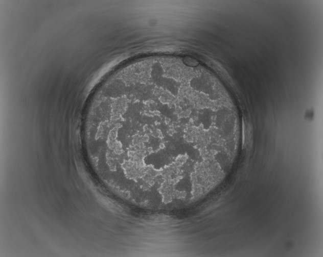 X0000116120483200912211657