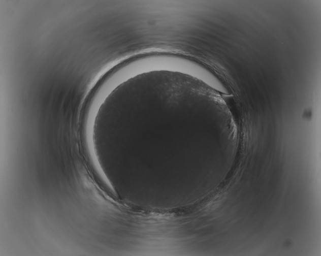 X0000116120484200912211657
