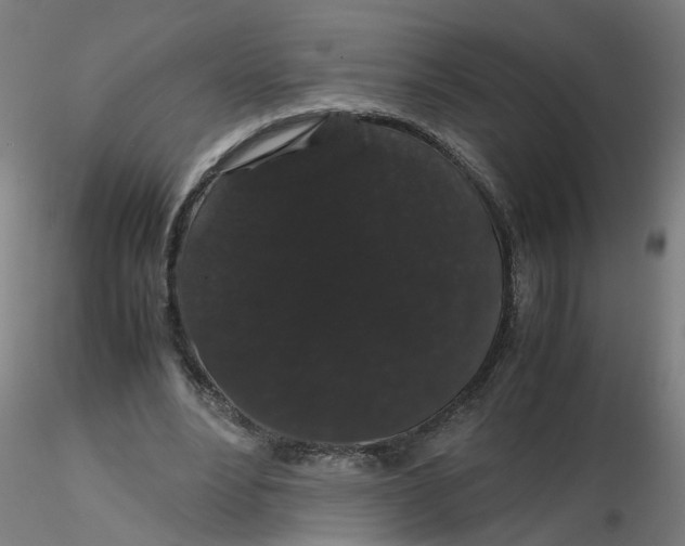 X0000116120488200912211657