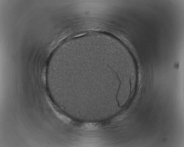 X0000116120489200912211657