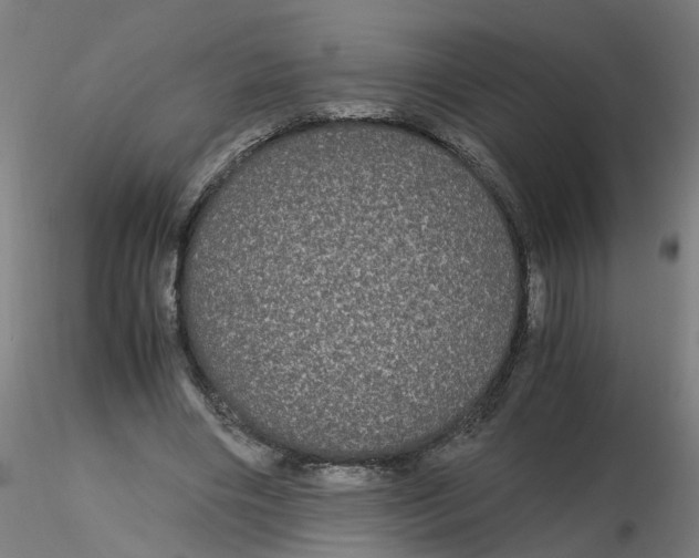 X0000116120490200912211657