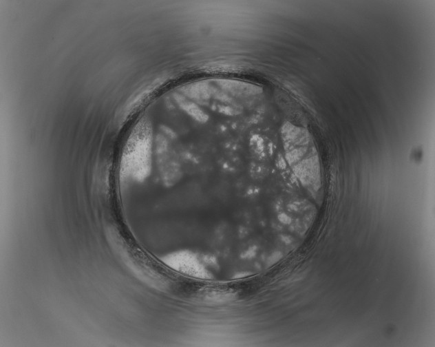 X0000116120491200912211657